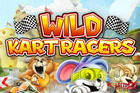 Wild Kart Racers